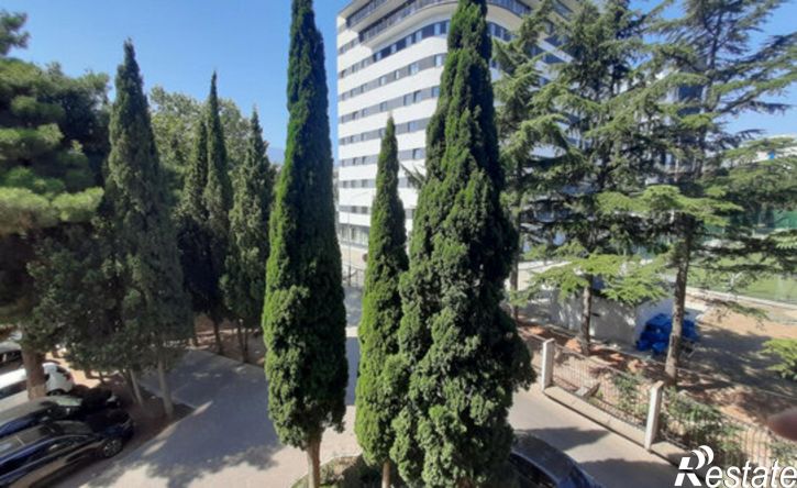 1-комн квартира Ревкомовский переулок, 4,  д. 4