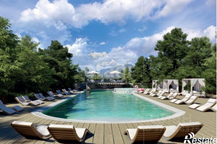 1-комн квартира Пограничный переулок, 1,  д. 1