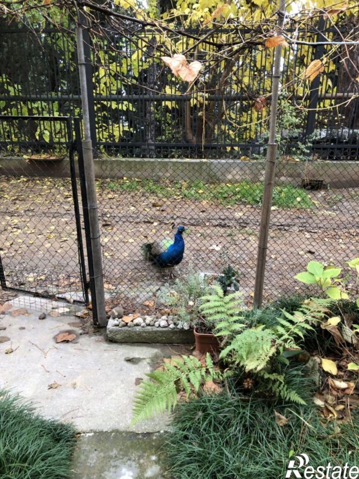 1-комн квартира ул Васильченко, 1,  д. 1