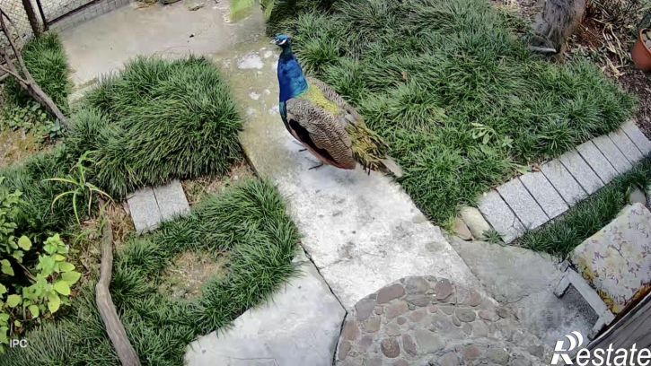 1-комн квартира ул Васильченко, 1,  д. 1