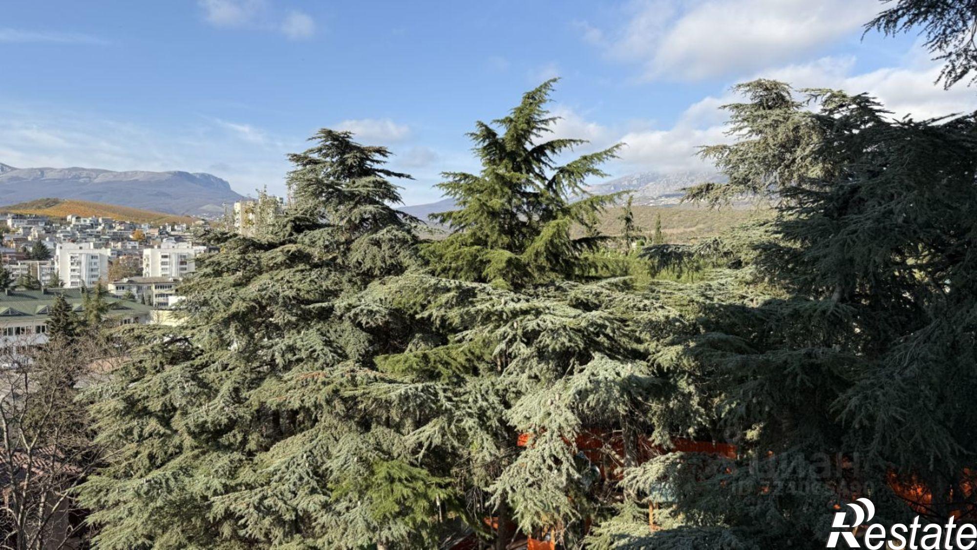 Купить квартиру за 25 000 000 рублей на Заводской пер, 8