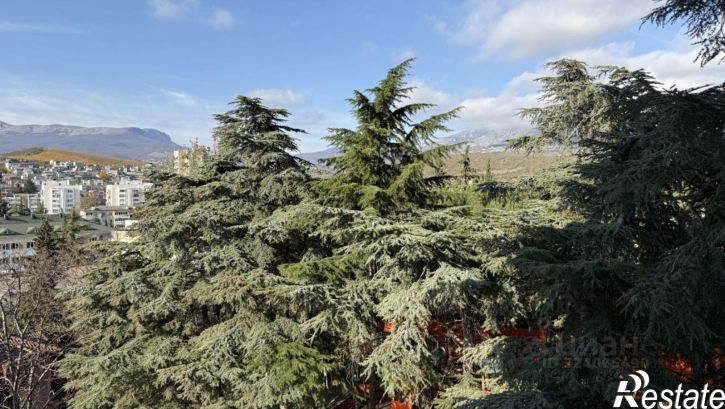 2-комн квартира Заводской пер, 8,  д. 8