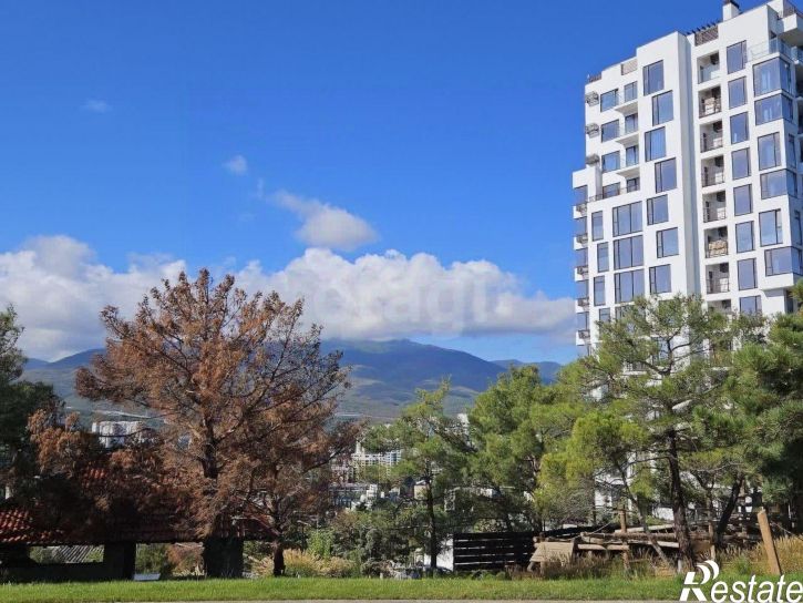 2-комн квартира Пограничный переулок, 1,  д. 1