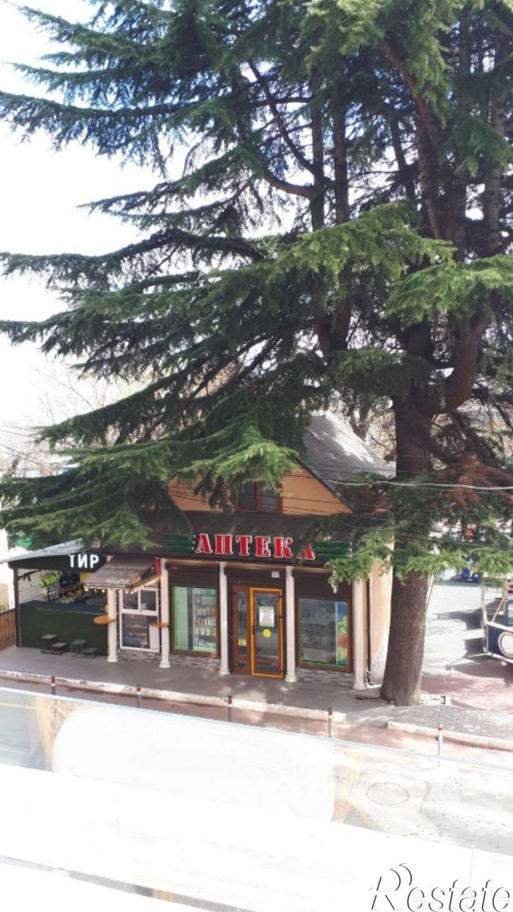 2-комн квартира ул Набережная, 18Е,  д. 18Е